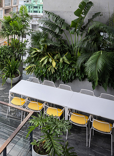 Terrasse 1